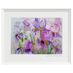 Irises Chrysanthemum Flower