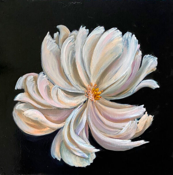 Oil painting flowers White peony 40 x 40cm oil on canvas